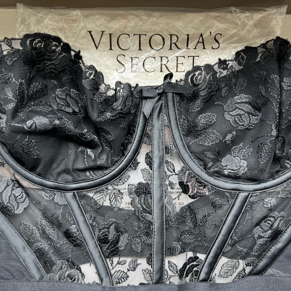 VICTORIA SECRET ROSE PETAL BUSTIER
